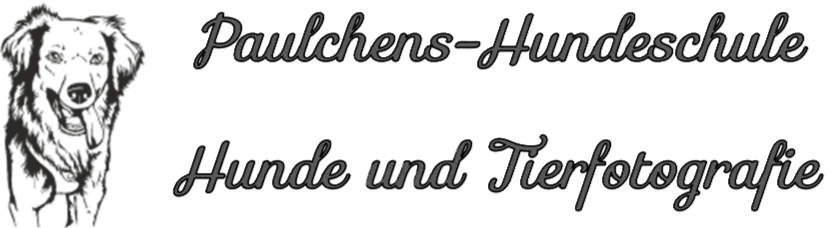 Logo Paulchens-Hundeschule / Hunde-und Tierfotografie - Hundetraining und Fotografie 