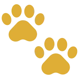 Paulchens-Hundeschule / Hunde-und Tierfotografie - Hundetraining und Fotografie - Pfoten-Symbol