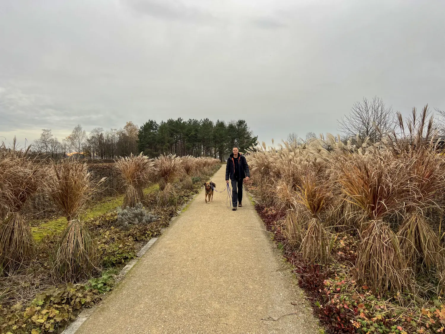 Paulchens-Hundeschule / Hunde-und Tierfotografie - Hundetraining und Fotografie - Ralf Willing mit hund 