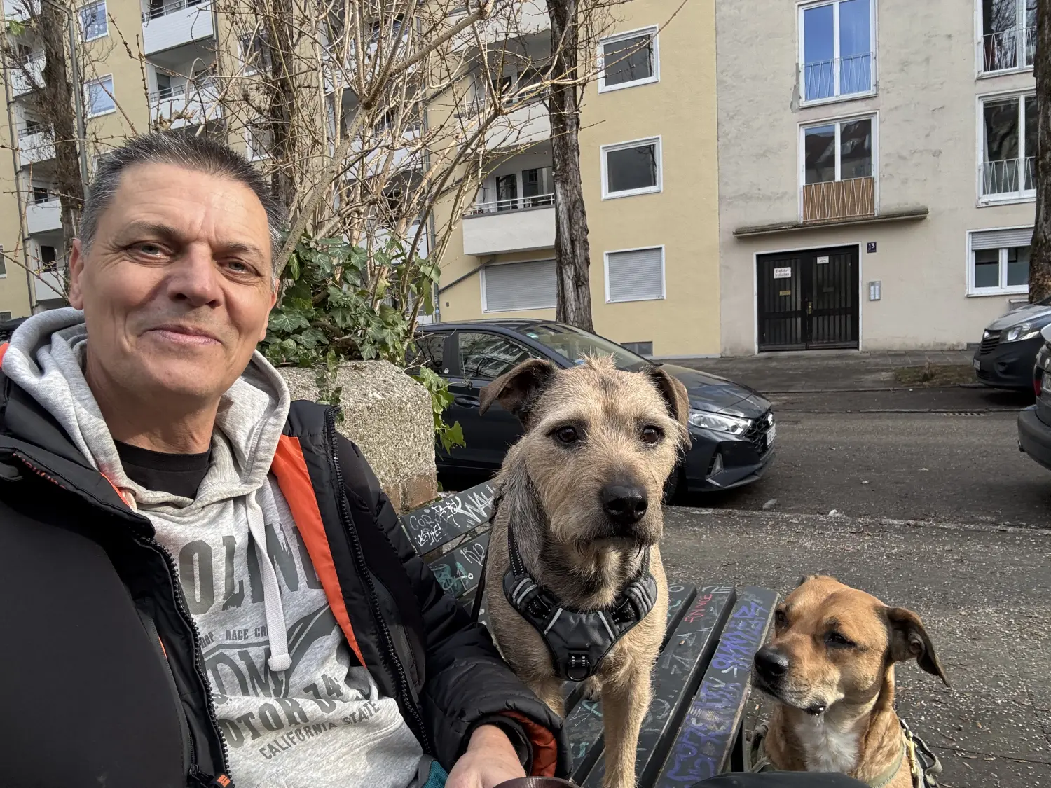 Paulchens_Hundeschule / Hunde-und Tierfotografie - Hundetraining und Fotografie - Ralf Willing mit Hunden