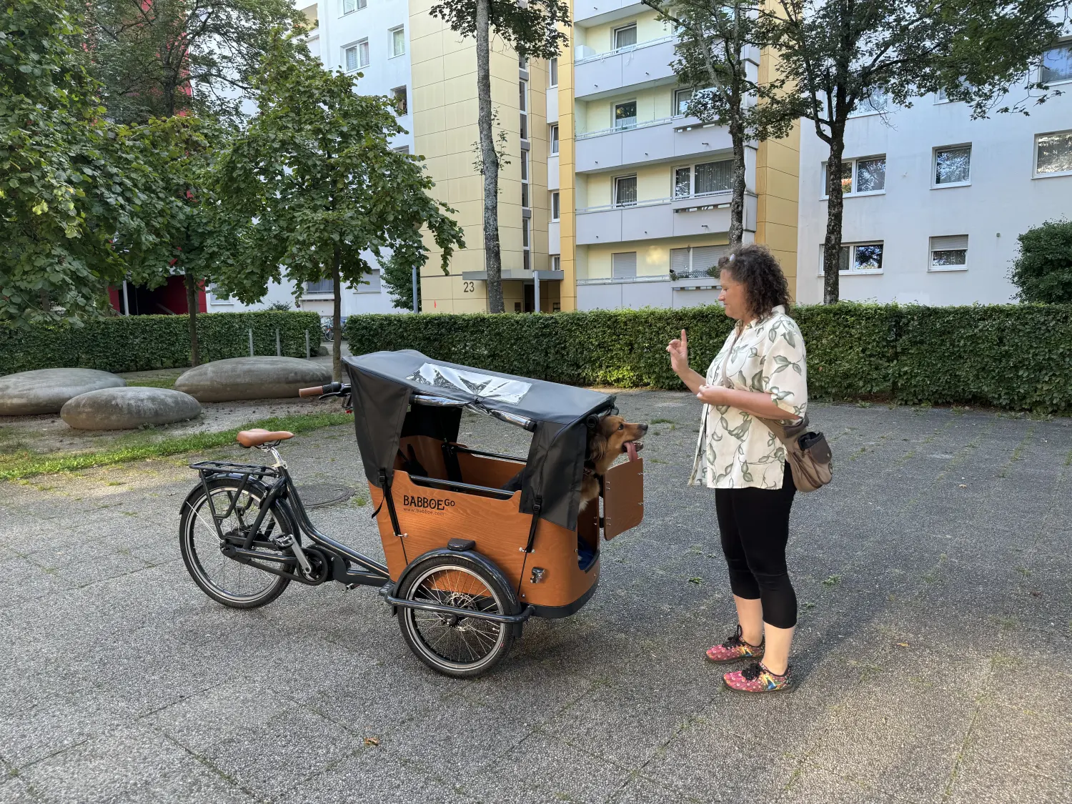 Paulchens_Hundeschule / Hunde-und Tierfotografie - Hundetraining und Fotografie - Ein gepflasterter Parkweg, gesäumt von üppigen grünen Bäumen. Eine Person fährt mit einem Lastenrad, daneben ein braun-weißer Hund.
