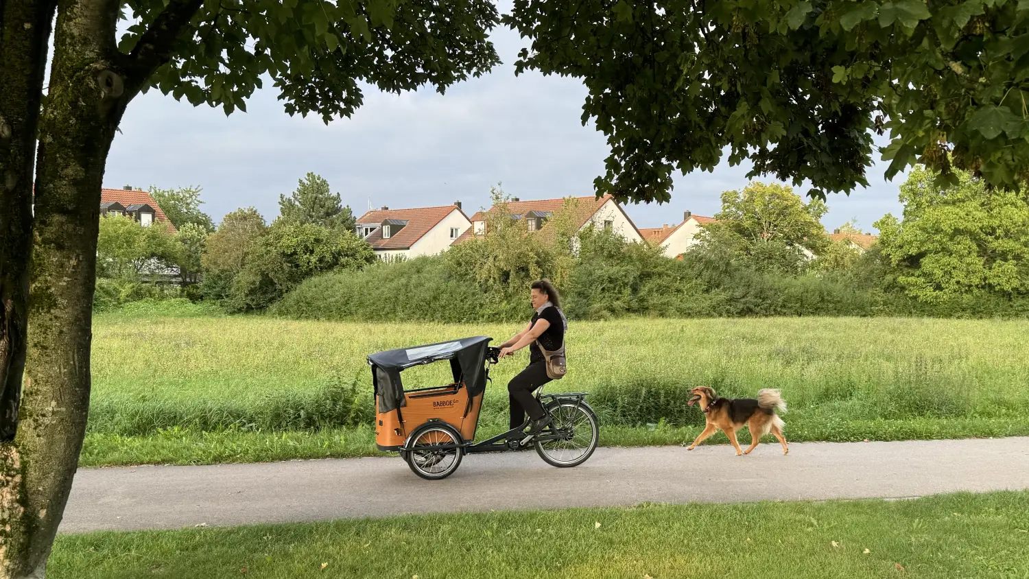 Paulchens_Hundeschule / Hunde-und Tierfotografie - Hundetraining und Fotografie - Ein gepflasterter Parkweg, gesäumt von üppigen grünen Bäumen. Eine Person fährt mit einem Lastenrad, daneben ein braun-weißer Hund.