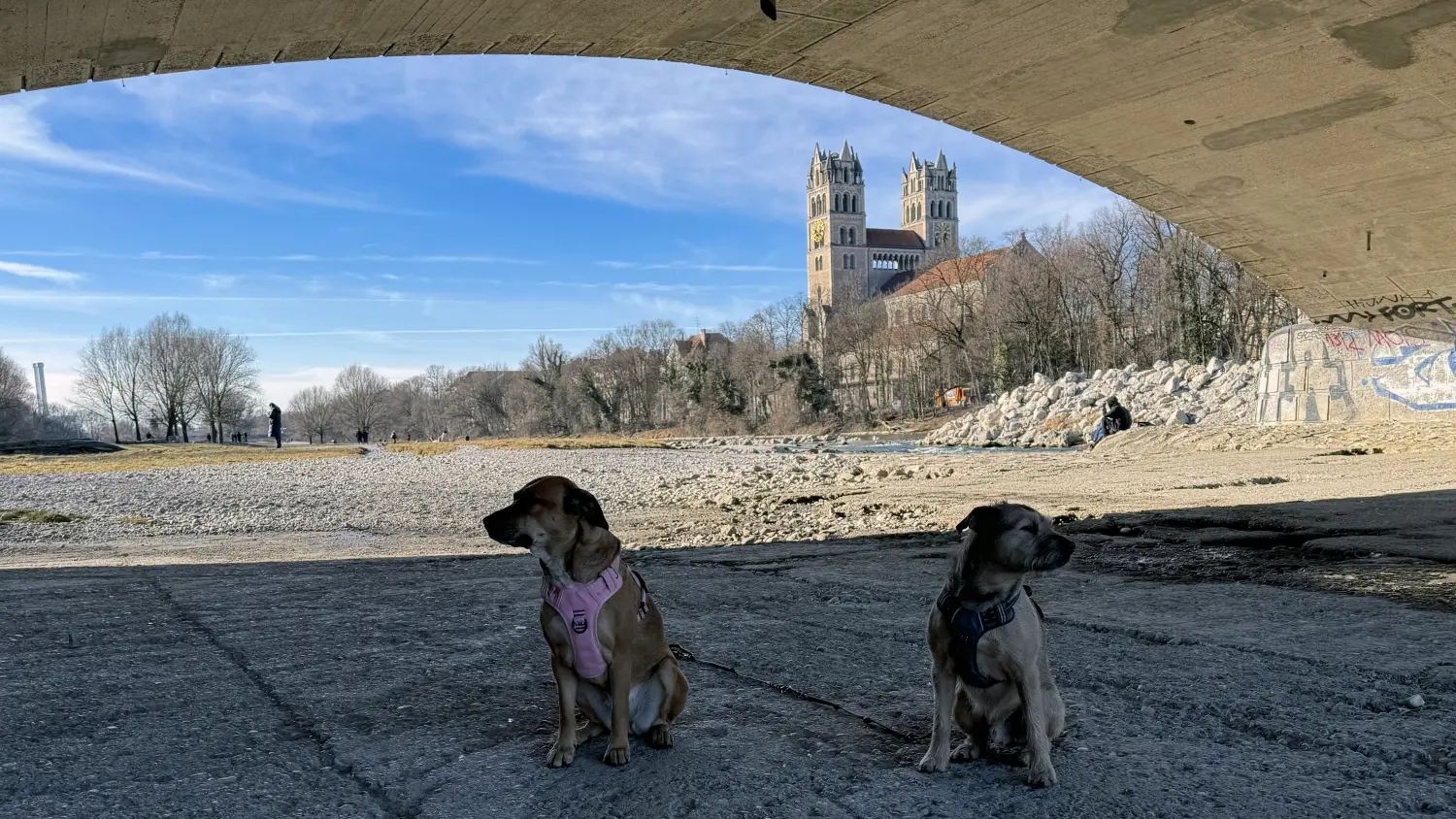 Paulchens_Hundeschule / Hunde-und Tierfotografie - Hundetraining und Fotografie - Hunden