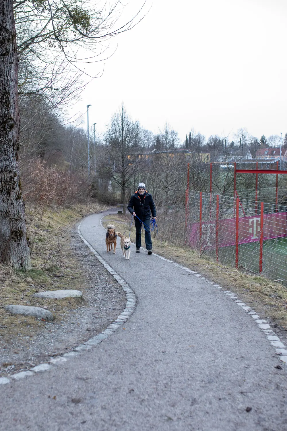 Paulchens_Hundeschule / Hunde-und Tierfotografie - Hundetraining und Fotografie - Ralf Willing geht mit den Hunden spazieren