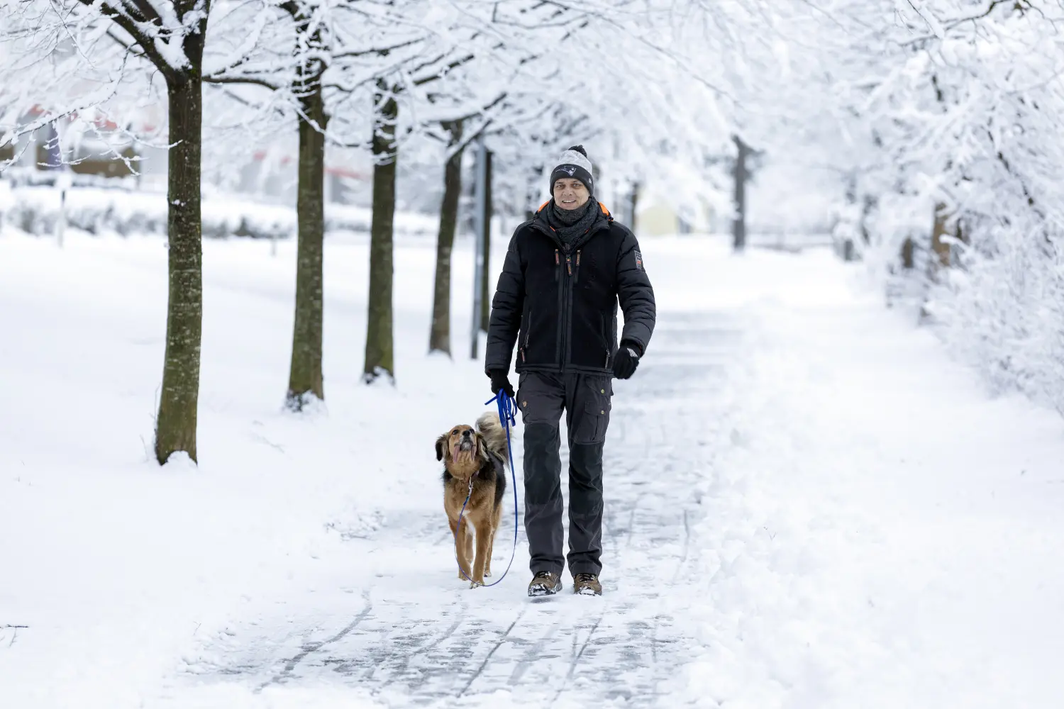 Paulchens_Hundeschule / Hunde-und Tierfotografie - Hundetraining und Fotografie - Ralf Willing geht mit den Hunden spazieren