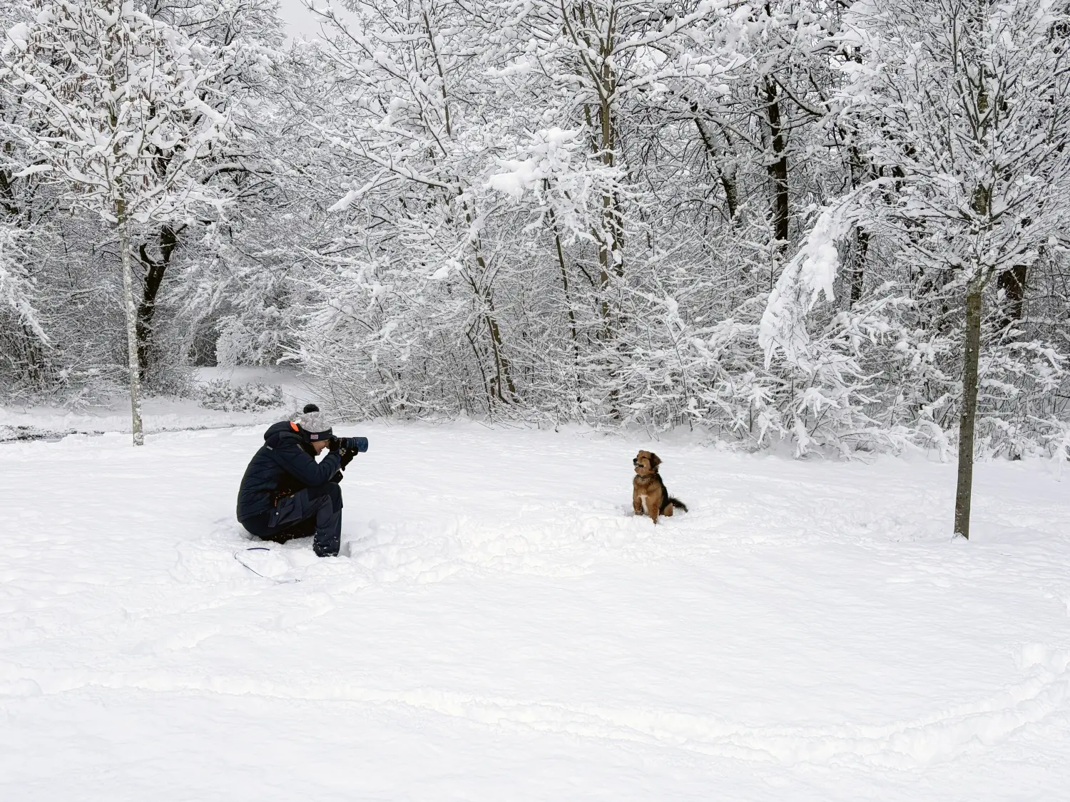 Paulchens_Hundeschule / Hunde-und Tierfotografie - Hundetraining und Fotografie - Ralf Willing macht Hundefotos