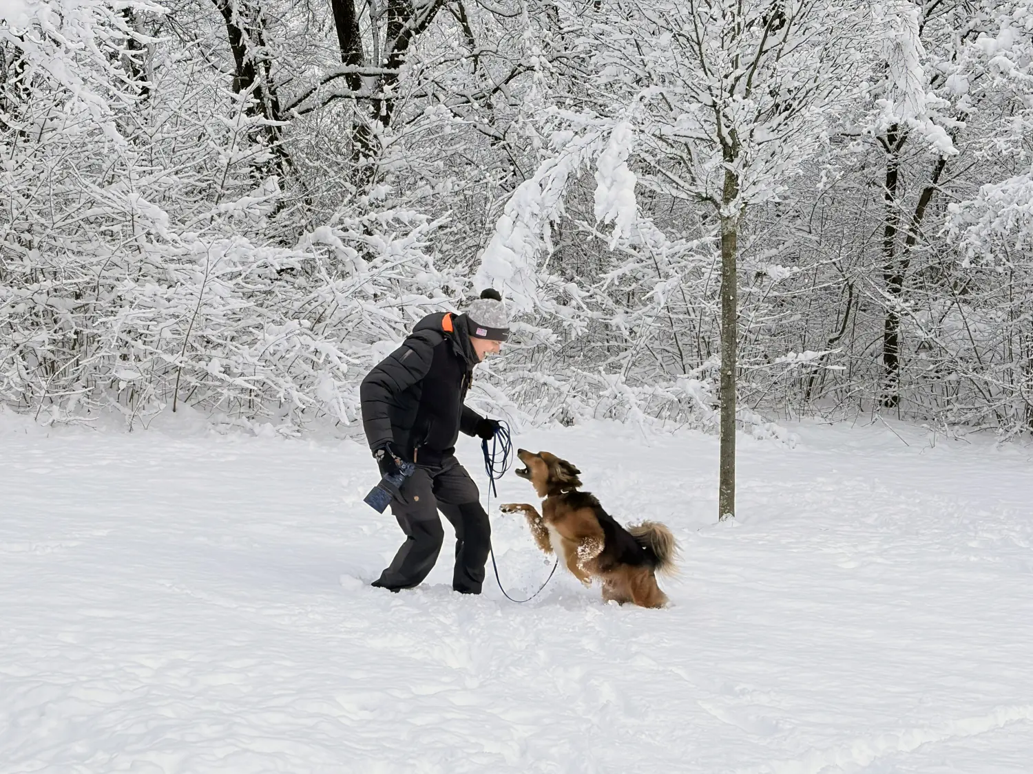Paulchens_Hundeschule / Hunde-und Tierfotografie - Hundetraining und Fotografie - Ralf Willing mit hund