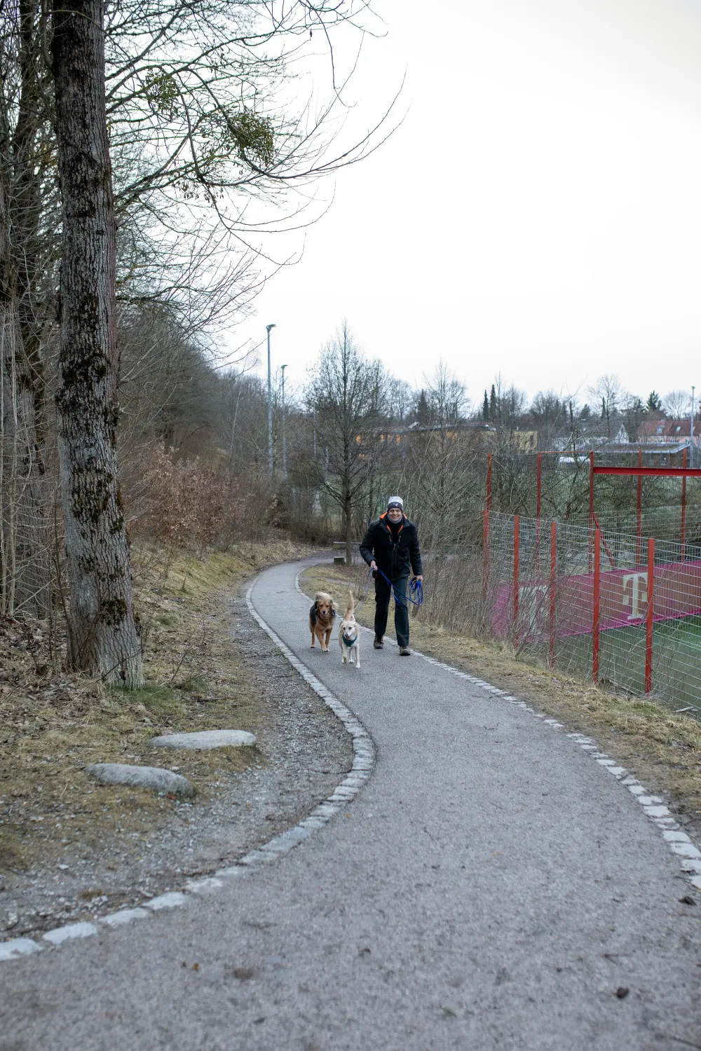 Paulchens_Hundeschule / Hunde-und Tierfotografie - Hundetraining und Fotografie - Ralf Willing geht mit den Hunden spazieren
