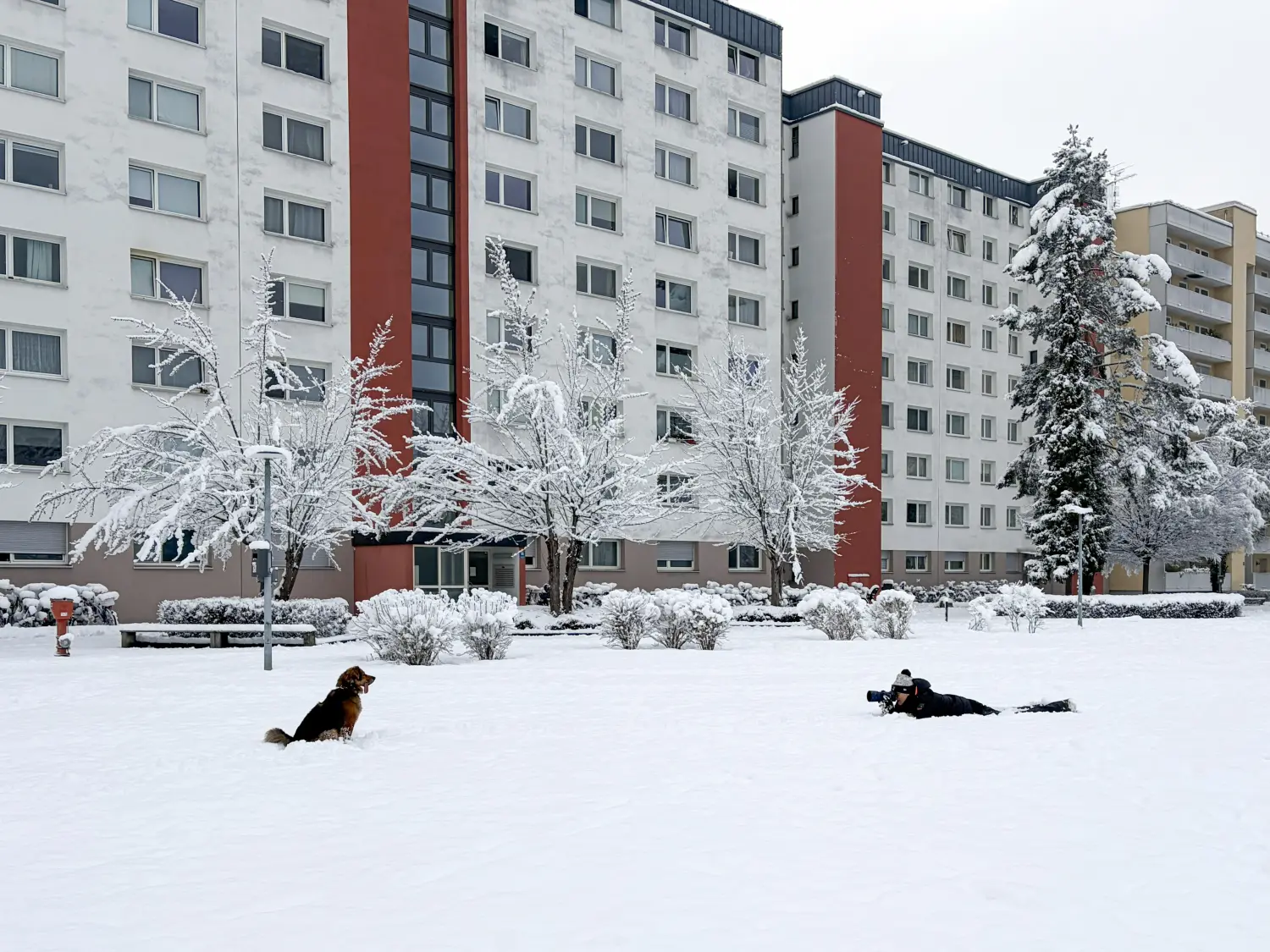 Paulchens_Hundeschule / Hunde-und Tierfotografie - Hundetraining und Fotografie - Ralf Willing macht Hundefotos