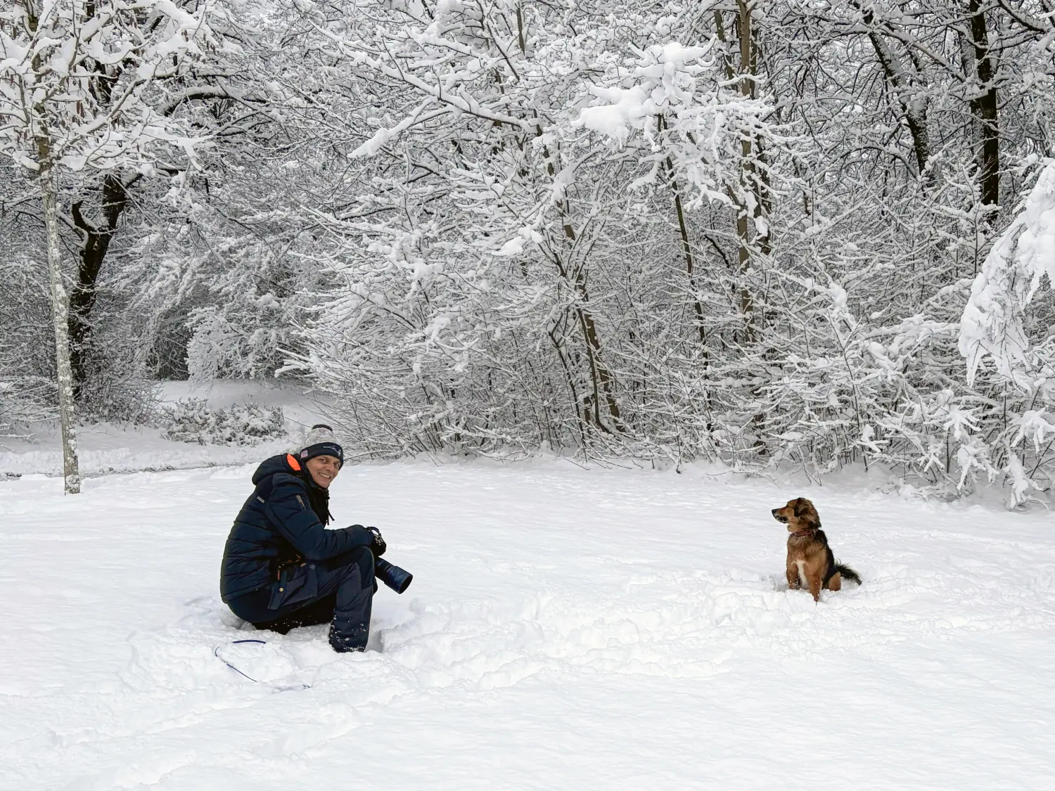 Paulchens_Hundeschule / Hunde-und Tierfotografie - Hundetraining und Fotografie - Ralf Willing macht Hundefotos