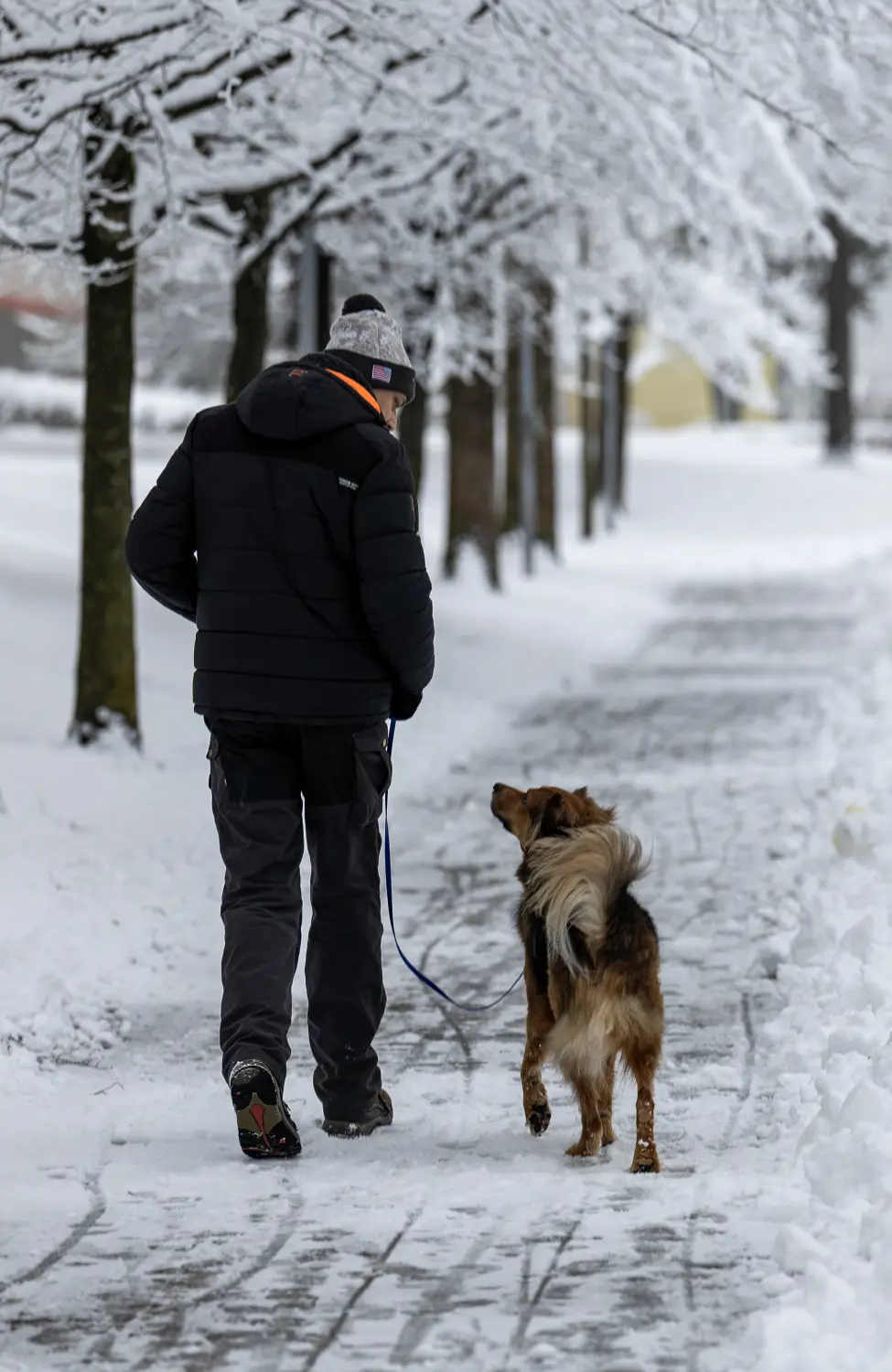 Paulchens_Hundeschule / Hunde-und Tierfotografie - Hundetraining und Fotografie - Ralf Willing geht mit den Hunden spazieren