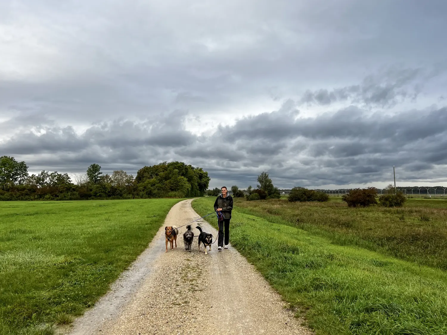 Paulchens_Hundeschule / Hunde-und Tierfotografie - Hundetraining und Fotografie - Ralf Willing geht mit den Hunden spazieren