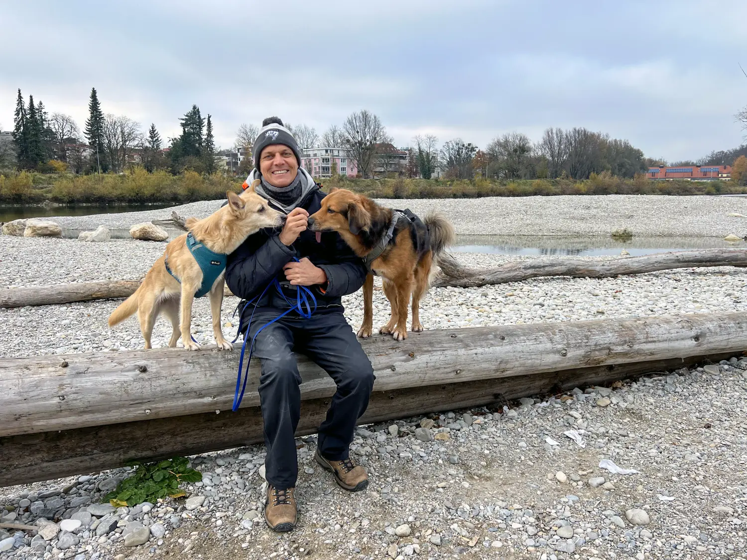 Paulchens_Hundeschule / Hunde-und Tierfotografie - Hundetraining und Fotografie - Ralf Willing mit Hunden