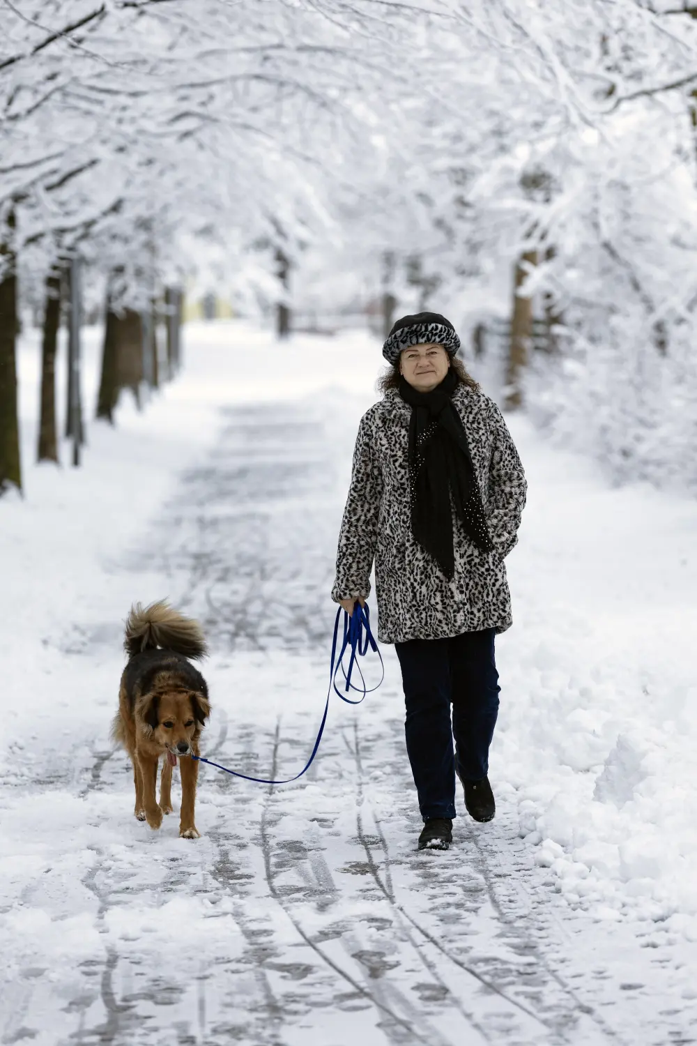 Paulchens-Hundeschule / Hunde-und Tierfotografie - Hundetraining und Fotografie - Claudia Willing mit Hund auf einem verschneiten Feld