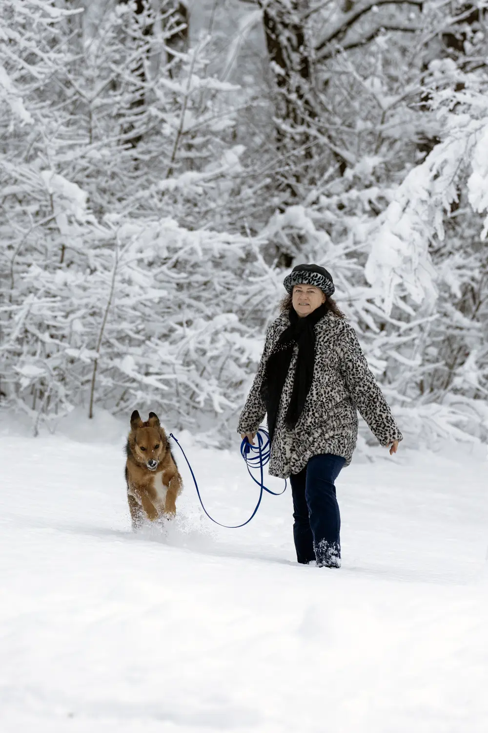 Paulchens-Hundeschule / Hunde-und Tierfotografie - Hundetraining und Fotografie - Claudia Willing mit Hund auf einem verschneiten Feld
