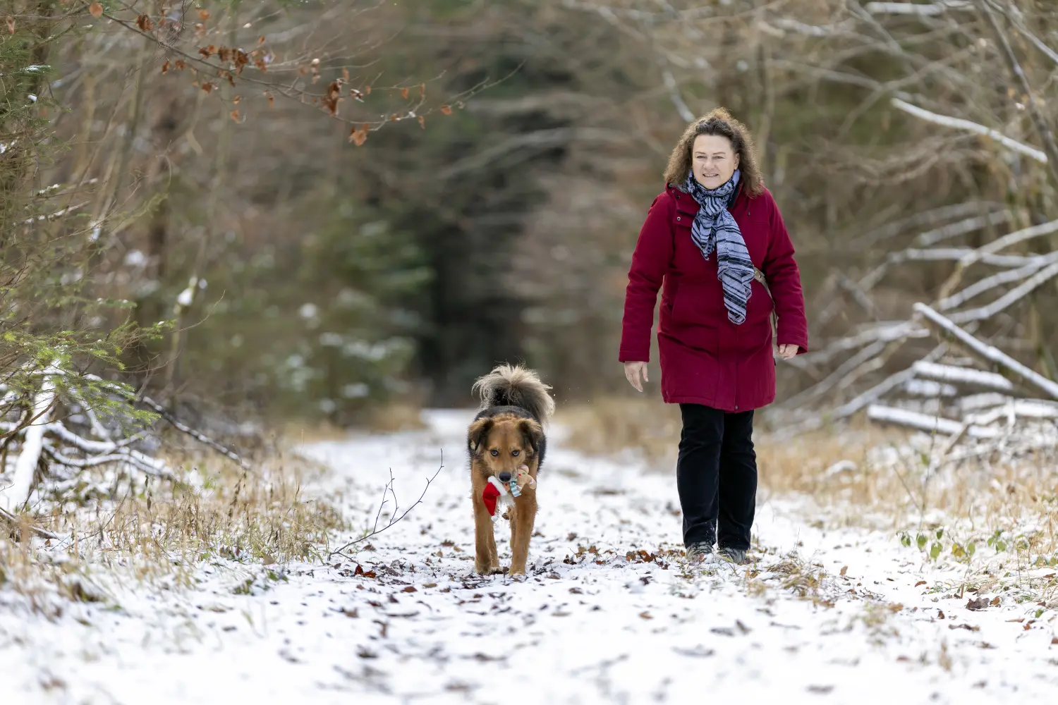 Paulchens-Hundeschule / Hunde-und Tierfotografie - Hundetraining und Fotografie - Claudia Willing mit Hund auf einem verschneiten Feld