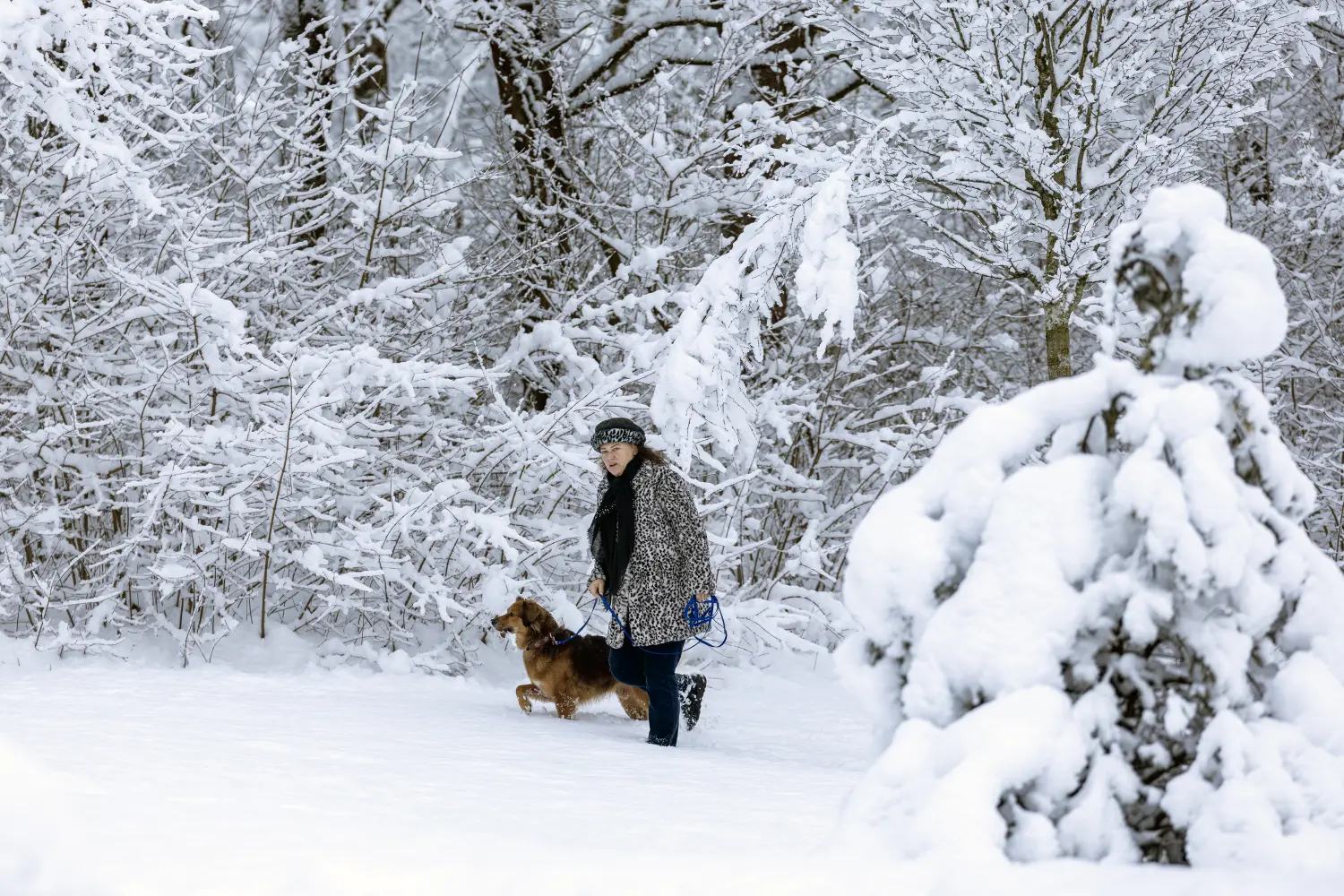 Paulchens-Hundeschule / Hunde-und Tierfotografie - Hundetraining und Fotografie - Claudia Willing mit Hund auf einem verschneiten Feld
