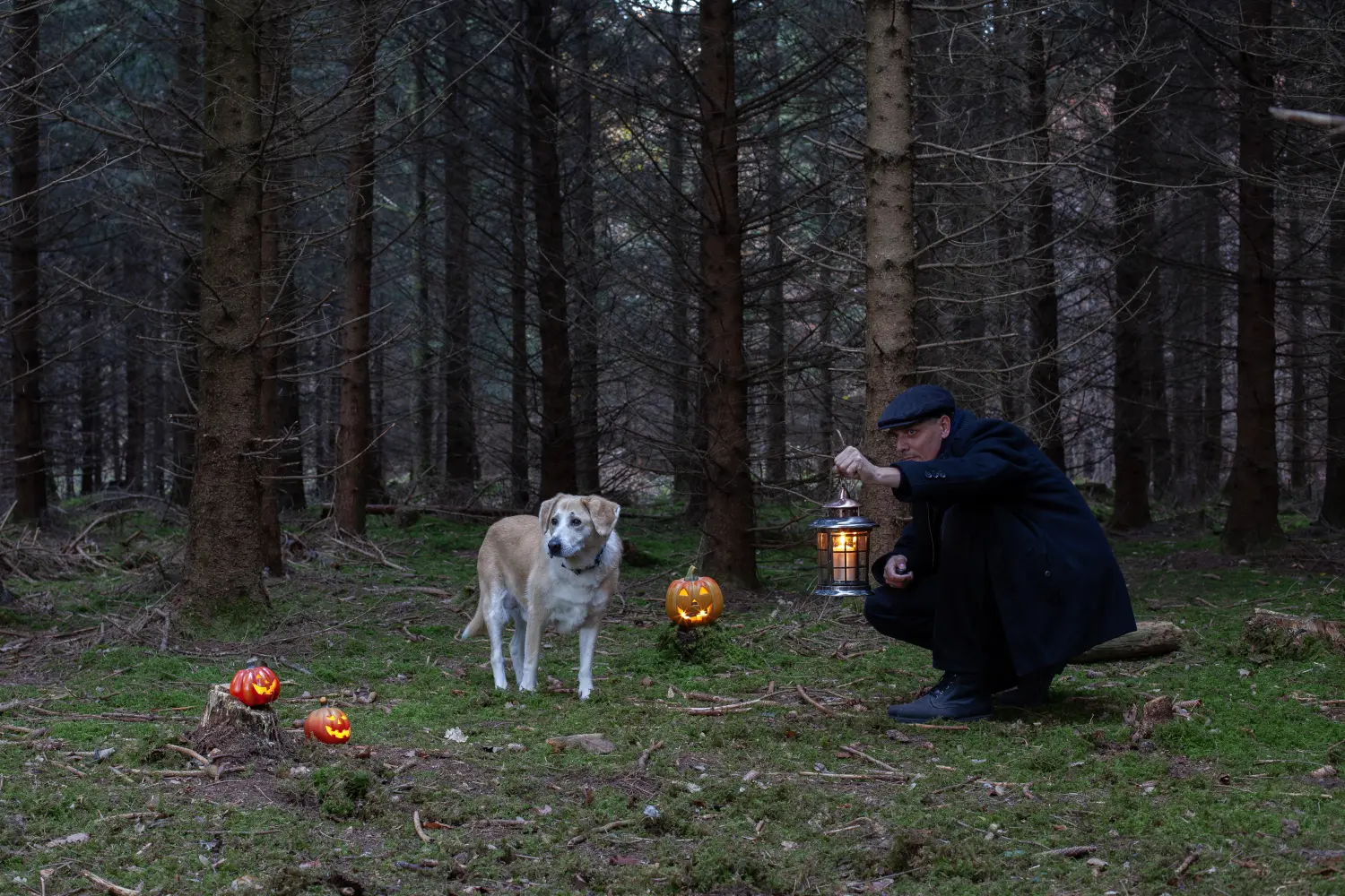 Paulchens-Hundeschule / Hunde-und Tierfotografie - Hundetraining und Fotografie - Ein Mann in einem dunklen Mantel kniet in der Abenddämmerung in einem dunklen Wald und hält eine Laterne neben einem hellen Hund und geschnitzten Kürbissen.