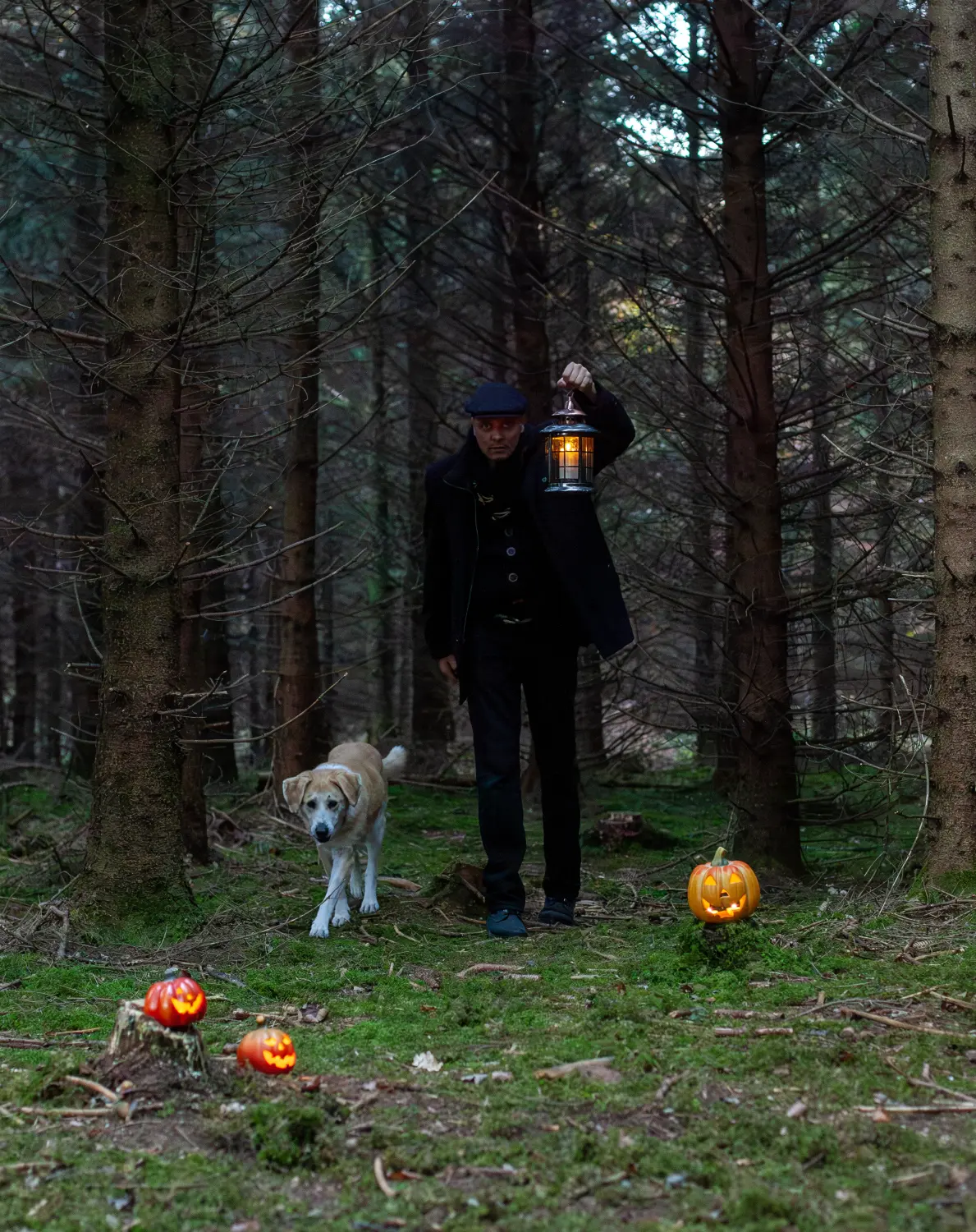 Paulchens-Hundeschule / Hunde-und Tierfotografie - Hundetraining und Fotografie - Ein Mann in dunklem Mantel und Schiebermütze, der mit einer brennenden Laterne durch einen dichten Kiefernwald geht, begleitet von einem hellen Hund und einem leuchtenden Kürbisgesicht.