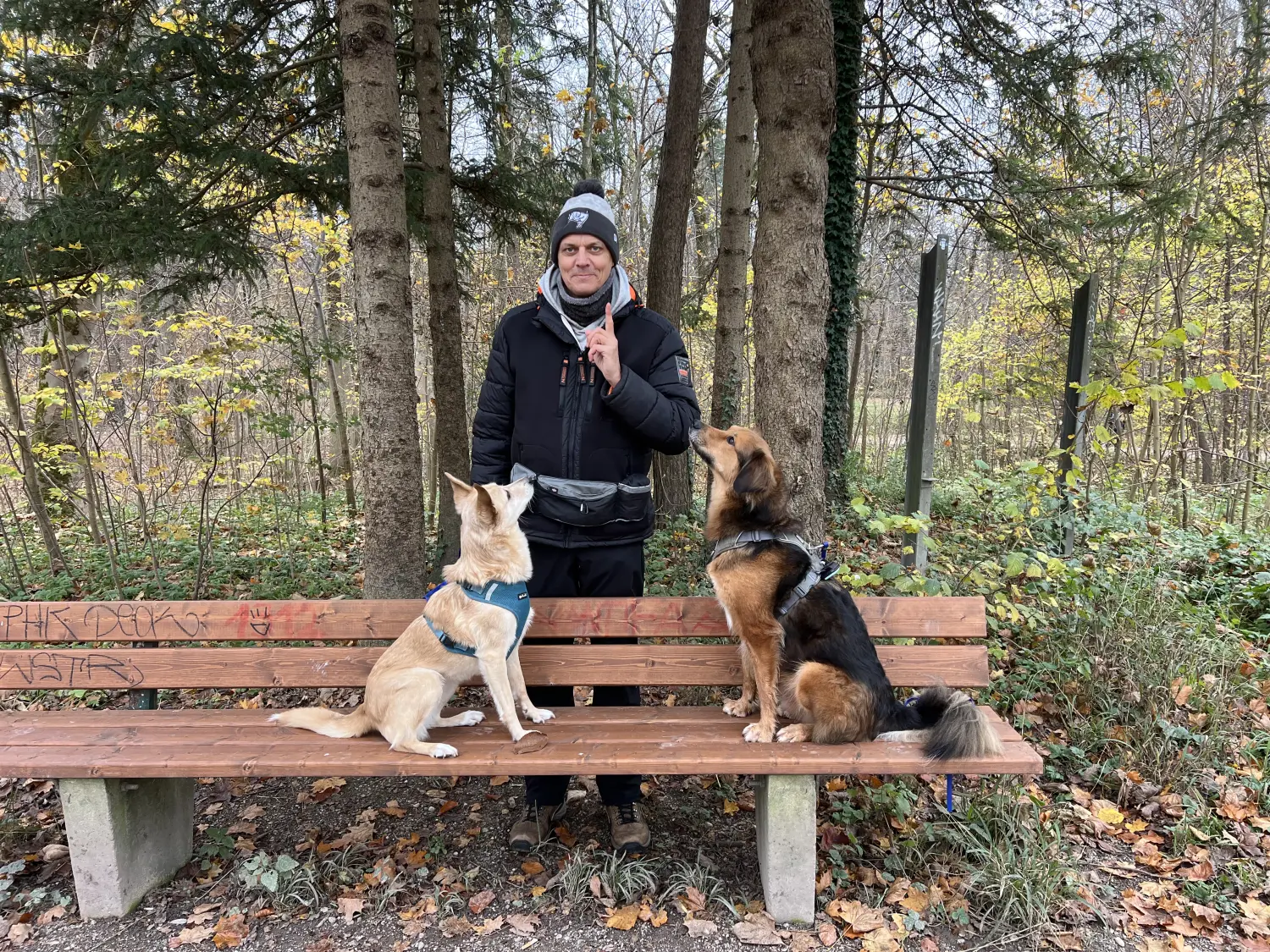 Paulchens-Hundeschule / Hunde-und Tierfotografie - Hundetraining und Fotografie - Der Mann stand hinter einer Parkbank, auf der zwei Hunde saßen – einer cremefarben, der andere braun.
