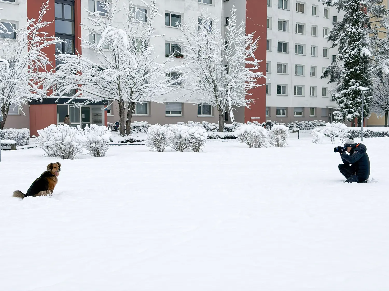 Paulchens_Hundeschule / Hunde-und Tierfotografie - Hundetraining und Fotografie - Ralf Willing macht Hundefotos