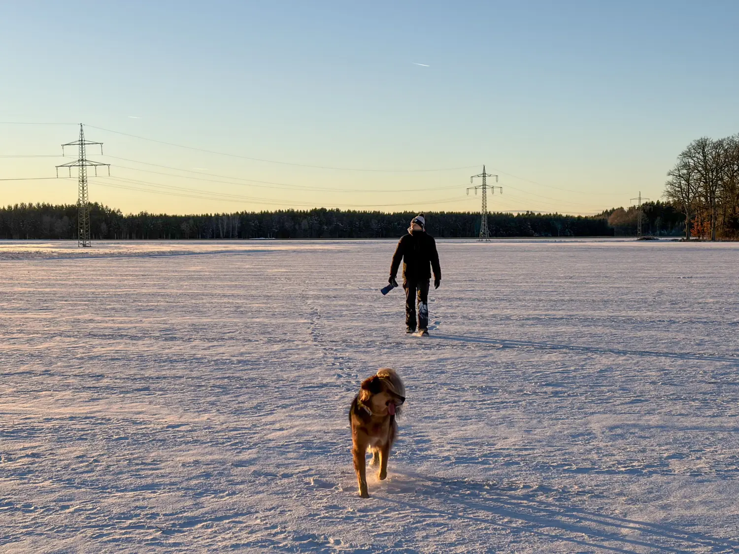 Paulchens-Hundeschule / Hunde-und Tierfotografie - Hundetraining und Fotografie - Eine Person geht bei Sonnenuntergang über ein schneebedecktes Feld, gefolgt von einem goldbraunen Hund, der durch den Schnee rennt. Im Hintergrund zeichnen sich Stromleitungen vor einer Baumgrenze und klarem Himmel ab.